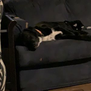 Meet your Posher, Jill